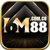 6m88comco profile image