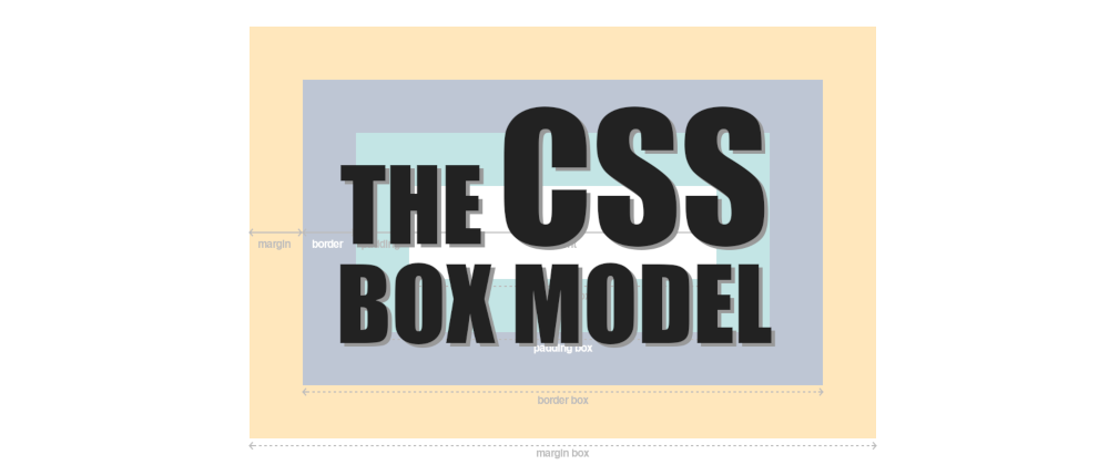 Cover image for The CSS Box Model