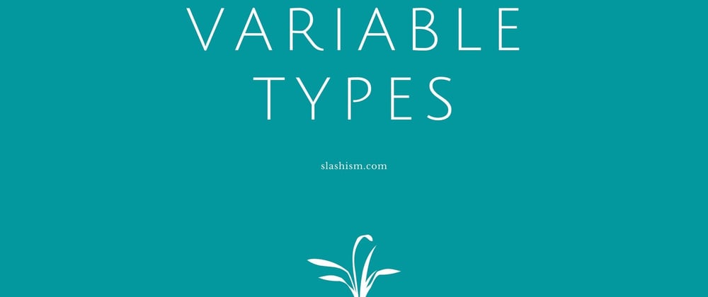 Cover image for Variable Types in Javascript