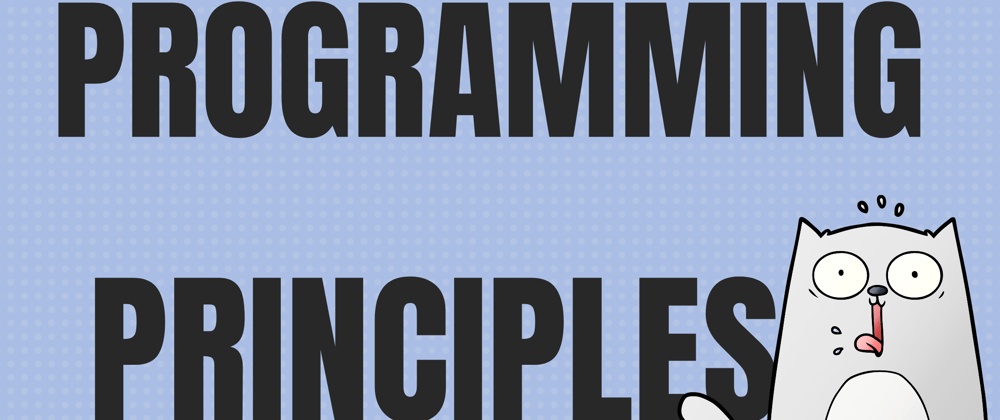 Cover image for Top 5 Principles for programmers.