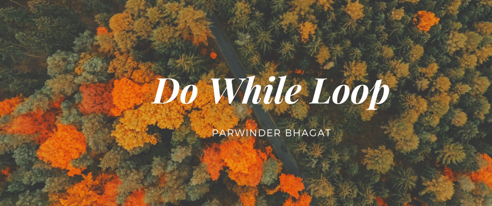 Cover image for JavaScript: Do While Loop