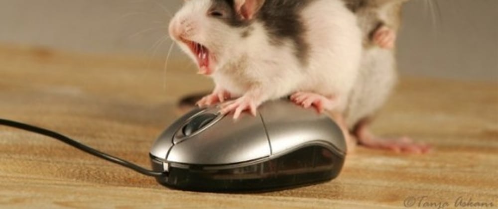 Cover image for How to never touch your mouse again 🐭