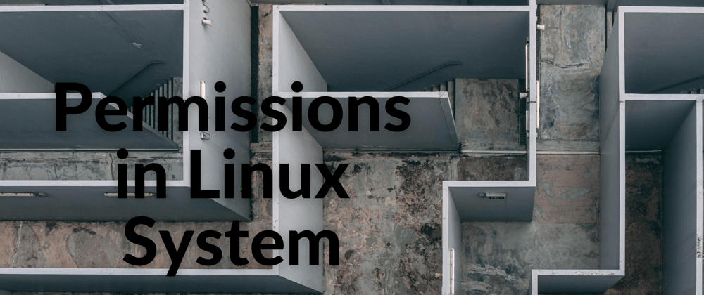 Cover image for Permissions in Linux System