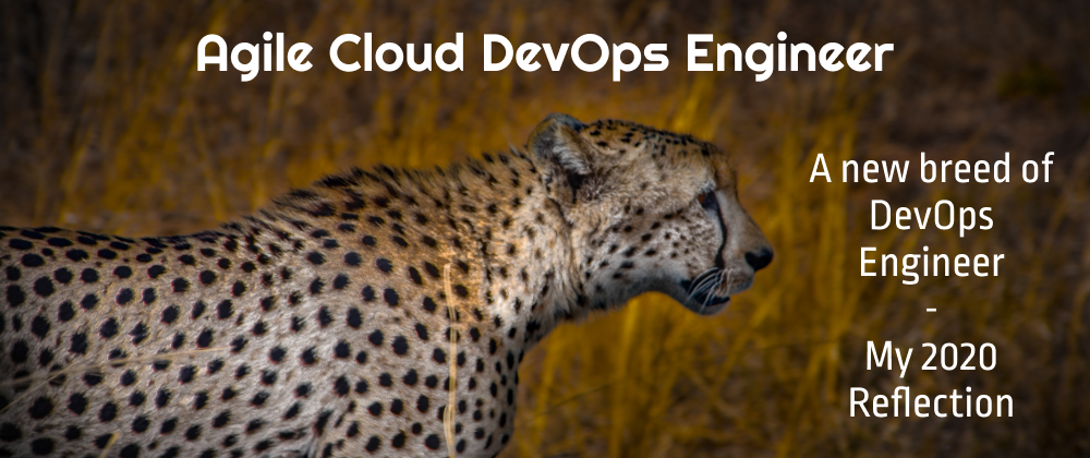 Cover image for Agile Cloud DevOps Engineer