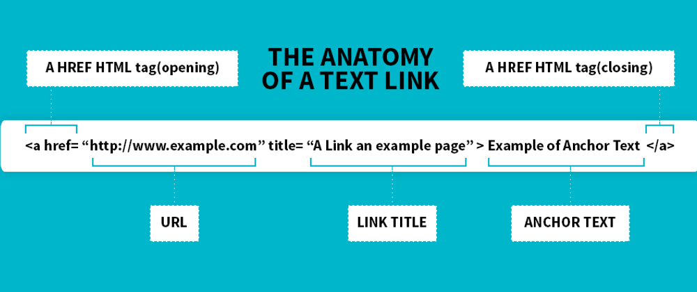 Cover image for TIL - HTML Basics