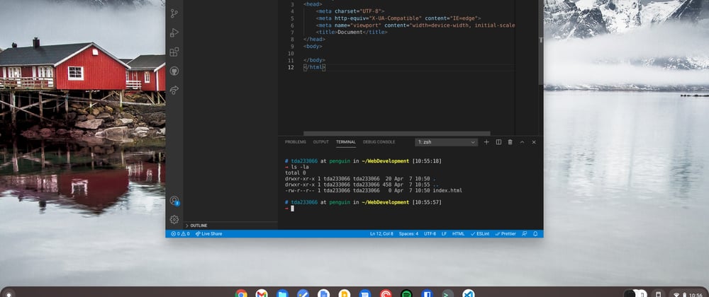 Cover image for Setup Javascript Dev on ChromeOS