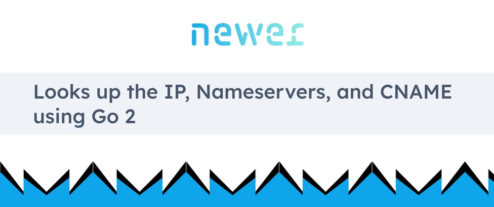 Cover image for Looks up the IP, Nameservers, and CNAME using Go