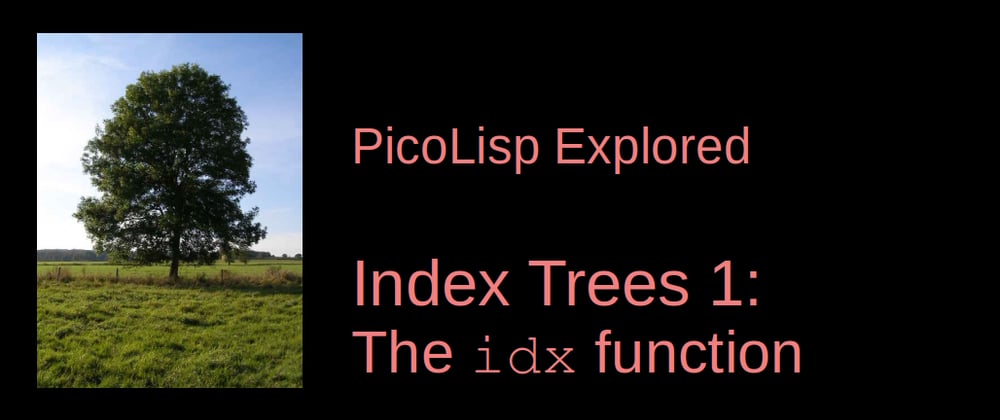 Cover image for PicoLisp Explored: The idx function