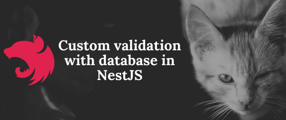 Cover image for Custom validation with database in NestJS