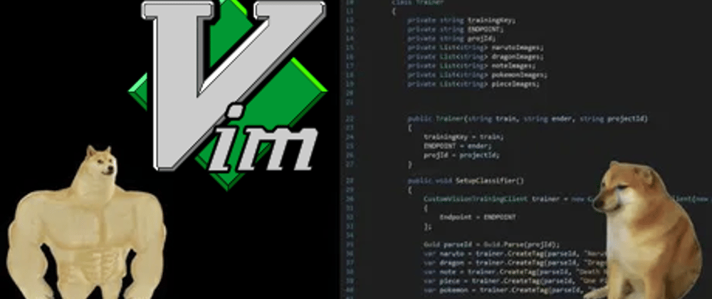 Cover image for How to Start a Blog with Vim