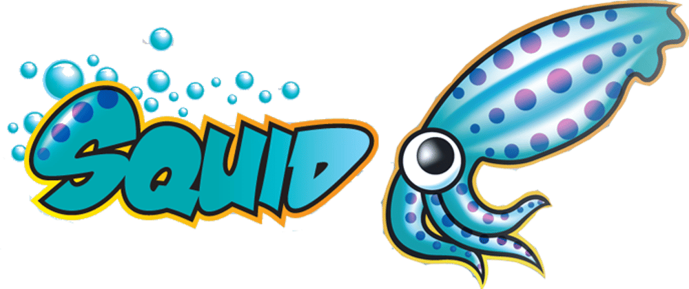 Cover image for SQUID PROXY SERVER