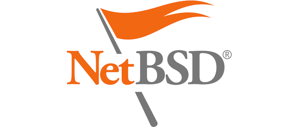 Cover image for NetBSD basic internet configuration