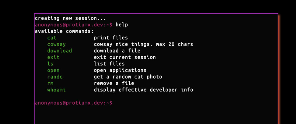 Cover image for My profile website is now a terminal