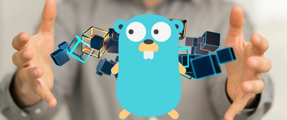 Cover image for 6 🔥 Awesome Golang packages (web devs)
