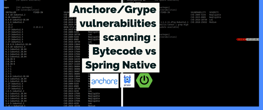 Cover image for 🕵️ About Java Bytecode, native binaries & security (short Grype benchmark)