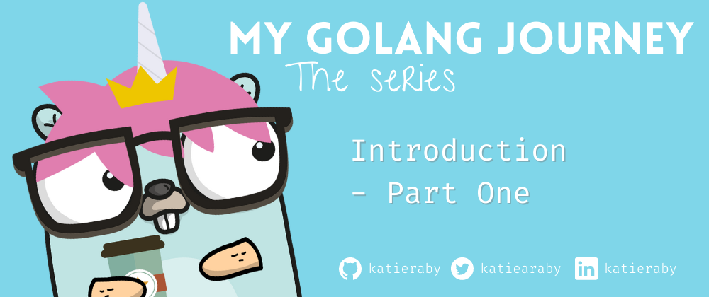 Cover image for Introduction to My Golang Journey