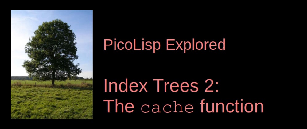 Cover image for PicoLisp Explored: The cache function