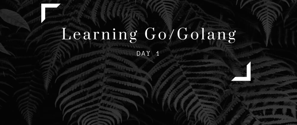 Cover image for Learning Golang - day 1