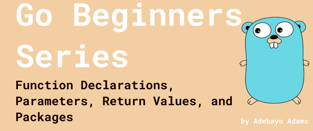 Cover image for Go Beginners Series: Function Declarations, Parameters, Return Values, and Packages