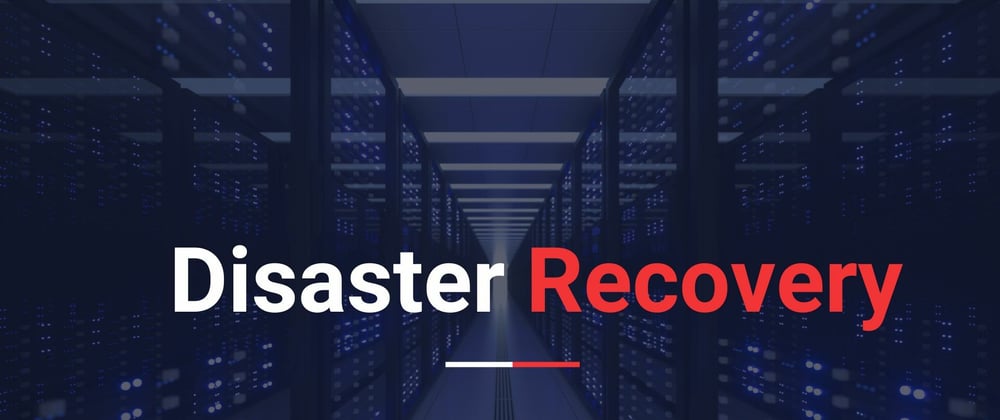 Cover image for Disaster Recovery