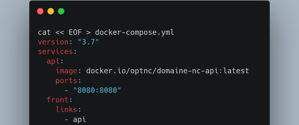 Cover image for 🐋 DOMAINE.nc : the fun (docker) way... and screenshots contest 🎨