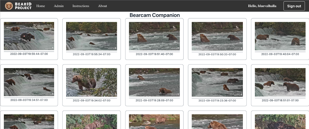 Cover image for Bearcam Companion: Hosting with Amplify and GitHub