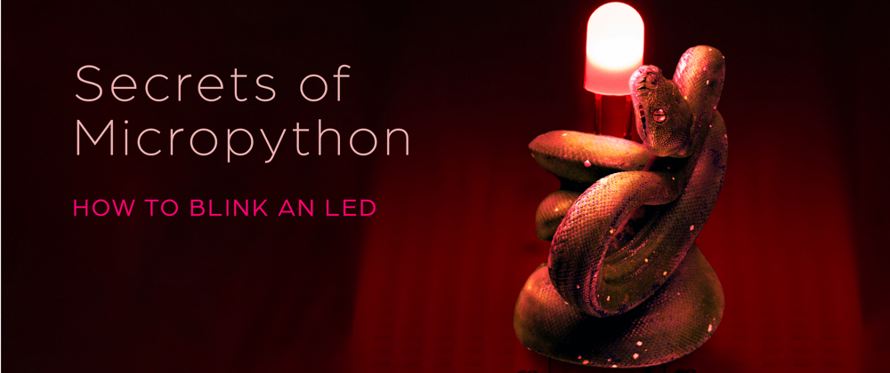 Cover image for Secrets of MicroPython: How to blink an LED