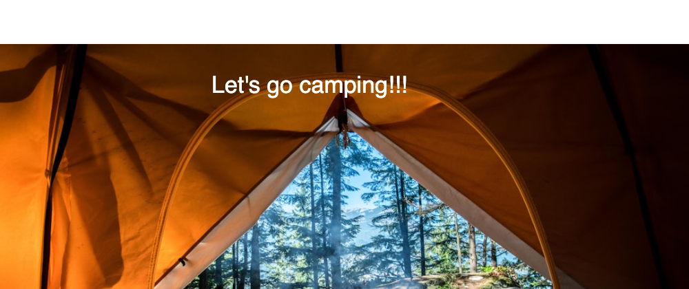 Cover image for Let's Go Camping!