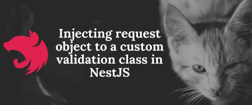 Cover image for Injecting request object to a custom validation class in NestJS