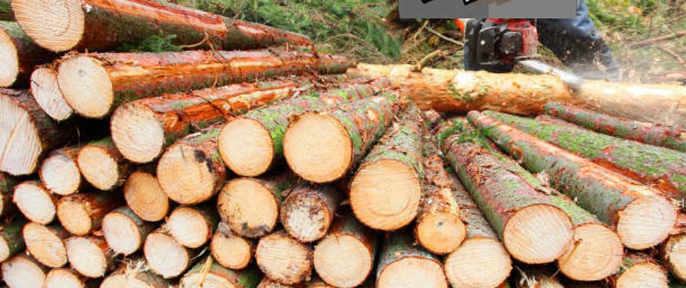 Cover image for Logging in go-api-basic