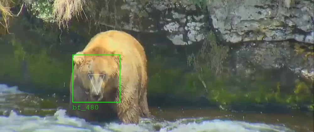 Cover image for BearCam Companion