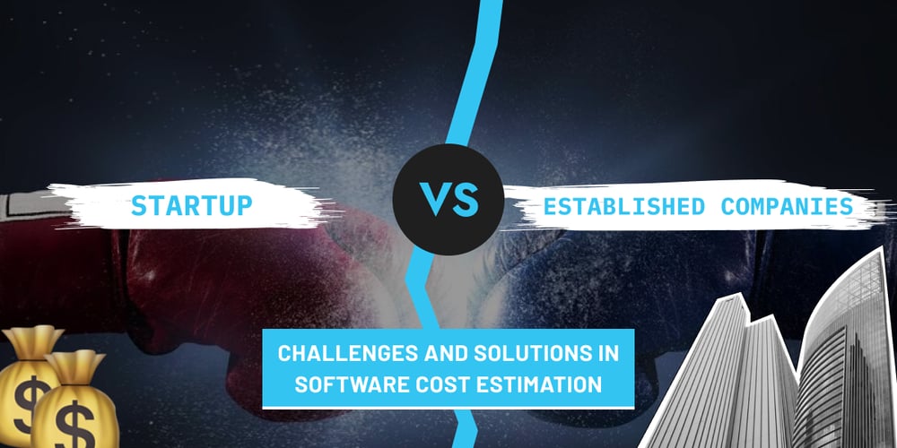 Navigating Software Cost Estimation: Startups vs Established Companies