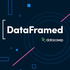 #113 Successful Frameworks for Scaling Data Maturity