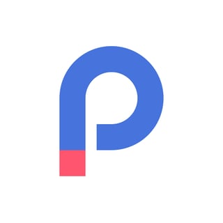 Pixel Point logo