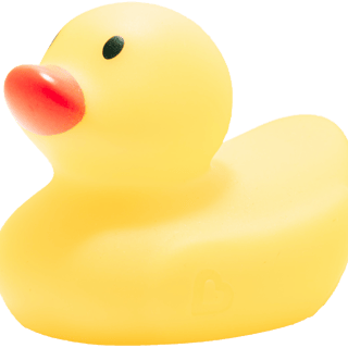 Programming Duck logo