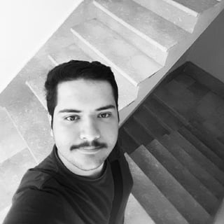 Meysam Salehi profile picture