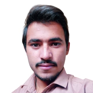 Lokesh Choudhary Programmer profile picture