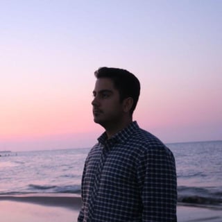 Mohammad H. Sattarian profile picture