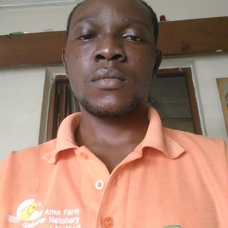 Oladoyin Falana profile picture