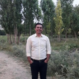 mojtaba zolfaghari profile picture