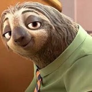 Slow Coder Sloth profile picture