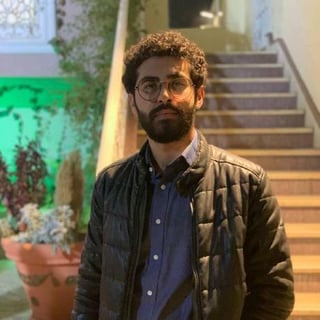 Mohammed Alkayyali profile picture