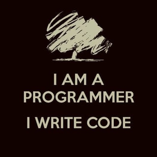 I am a Programmer profile picture