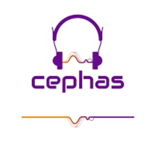 c3phas profile picture