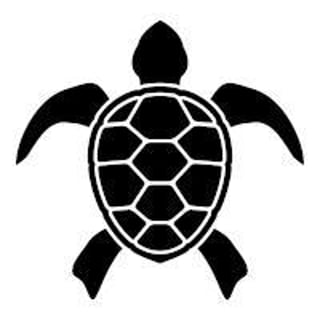 Typing Turtle profile picture