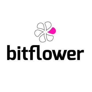 bitflower profile picture