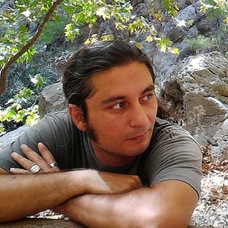 Ionut-Cristian Florescu profile picture