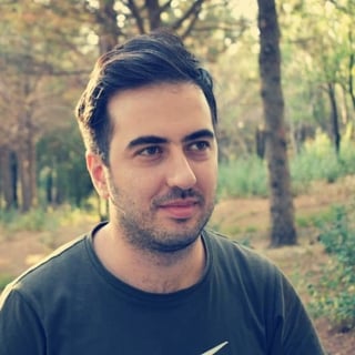 Meysam Faghfouri profile picture