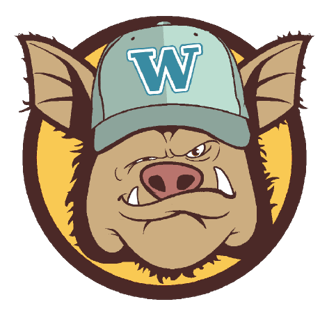Willyboar profile picture