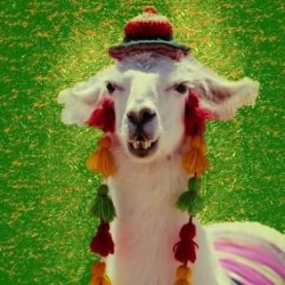 Login Llama profile picture